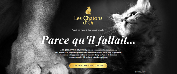 Les_Chatons_d_Or_2013.png